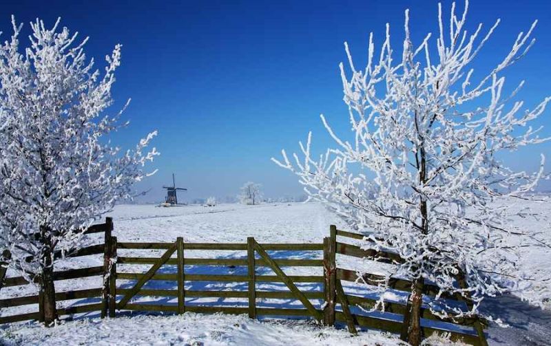 winter wonderland.jpg